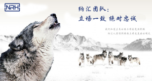 国产精品香蕉的团队精神