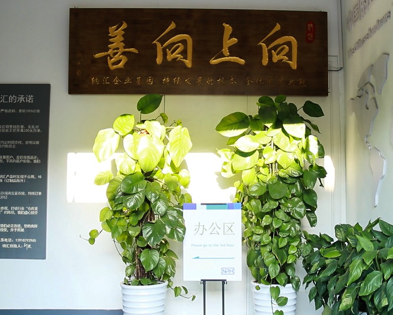 国产精品香蕉